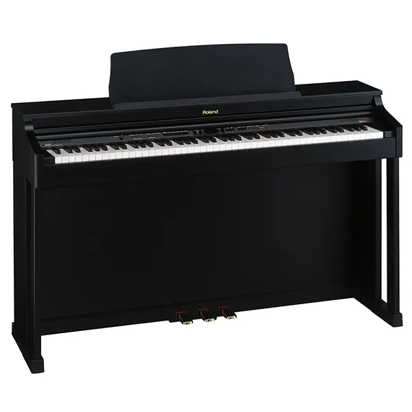 Music City – Tổng Kho Piano, Guitar, Organ | Dịch Vụ Giáo Dục Âm Nhạc