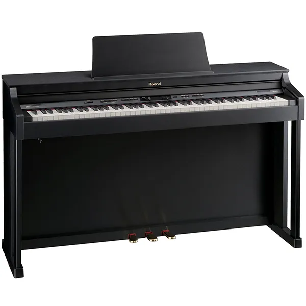Music City – Tổng Kho Piano, Guitar, Organ | Dịch Vụ Giáo Dục Âm Nhạc