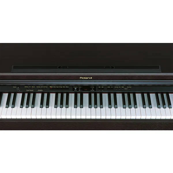 Music City – Tổng Kho Piano, Guitar, Organ | Dịch Vụ Giáo Dục Âm Nhạc