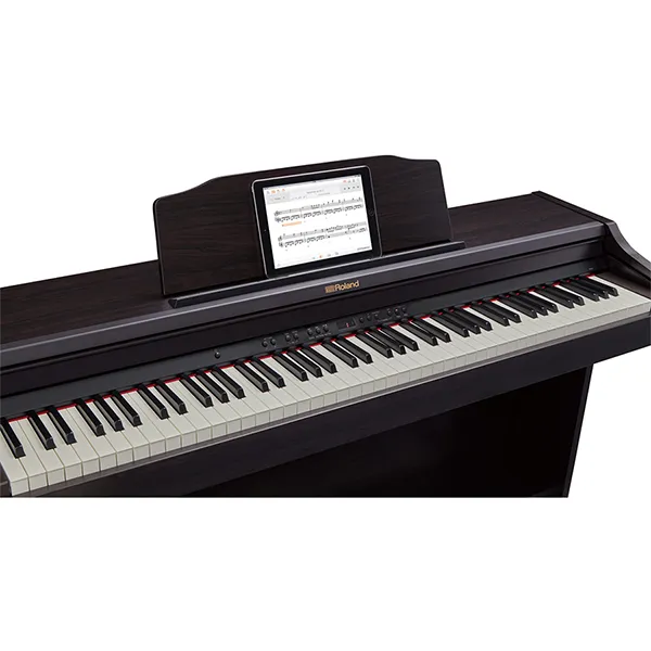 Music City – Tổng Kho Piano, Guitar, Organ | Dịch Vụ Giáo Dục Âm Nhạc