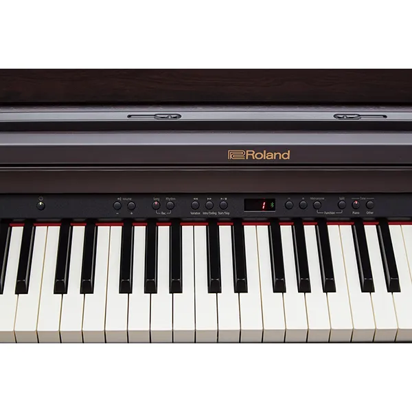 Music City – Tổng Kho Piano, Guitar, Organ | Dịch Vụ Giáo Dục Âm Nhạc