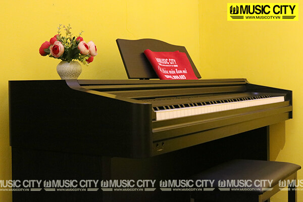 Music City – Tổng Kho Piano, Guitar, Organ | Dịch Vụ Giáo Dục Âm Nhạc
