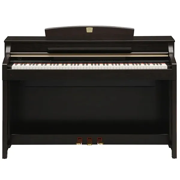 Music City – Tổng Kho Piano, Guitar, Organ | Dịch Vụ Giáo Dục Âm Nhạc