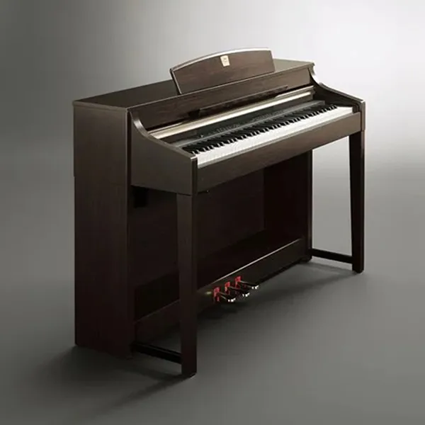 Music City – Tổng Kho Piano, Guitar, Organ | Dịch Vụ Giáo Dục Âm Nhạc