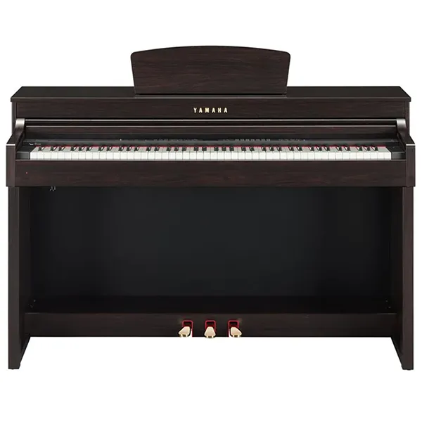 Music City – Tổng Kho Piano, Guitar, Organ | Dịch Vụ Giáo Dục Âm Nhạc