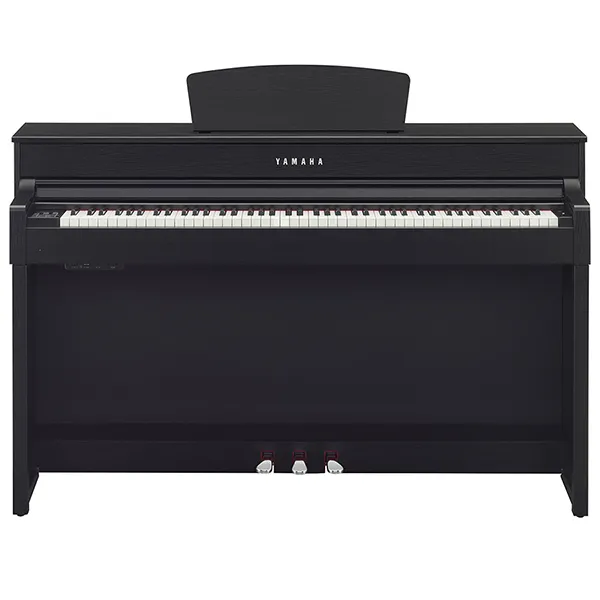 Music City – Tổng Kho Piano, Guitar, Organ | Dịch Vụ Giáo Dục Âm Nhạc