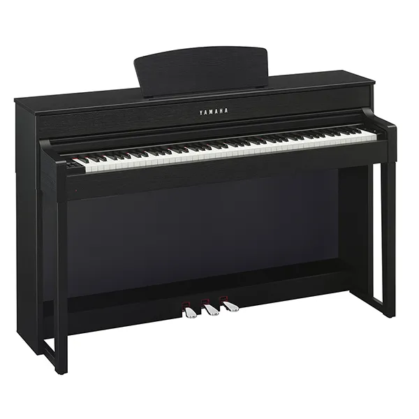 Music City – Tổng Kho Piano, Guitar, Organ | Dịch Vụ Giáo Dục Âm Nhạc