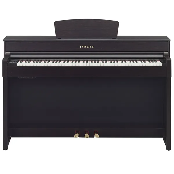 Music City – Tổng Kho Piano, Guitar, Organ | Dịch Vụ Giáo Dục Âm Nhạc