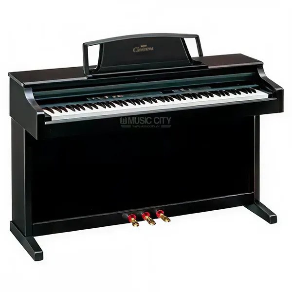 Music City – Tổng Kho Piano, Guitar, Organ | Dịch Vụ Giáo Dục Âm Nhạc