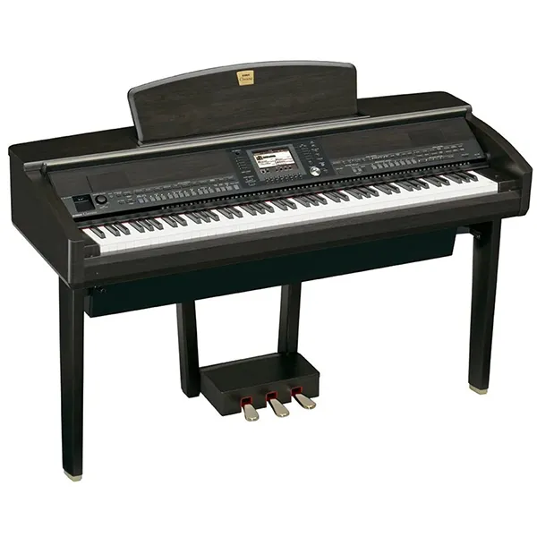 Music City – Tổng Kho Piano, Guitar, Organ | Dịch Vụ Giáo Dục Âm Nhạc