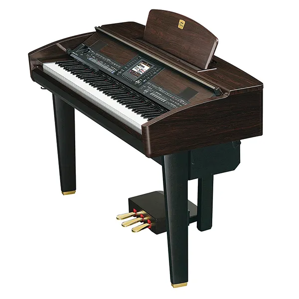 Music City – Tổng Kho Piano, Guitar, Organ | Dịch Vụ Giáo Dục Âm Nhạc