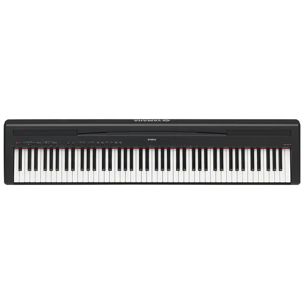 Music City – Tổng Kho Piano, Guitar, Organ | Dịch Vụ Giáo Dục Âm Nhạc