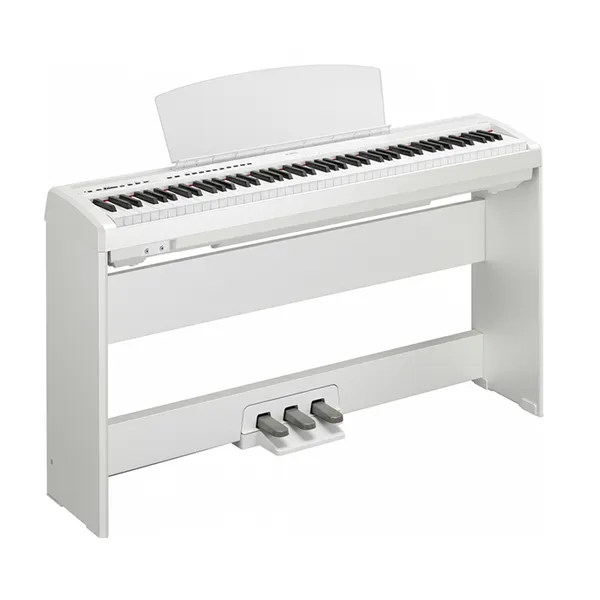 Music City – Tổng Kho Piano, Guitar, Organ | Dịch Vụ Giáo Dục Âm Nhạc