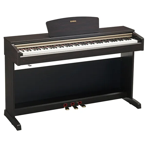 Music City – Tổng Kho Piano, Guitar, Organ | Dịch Vụ Giáo Dục Âm Nhạc