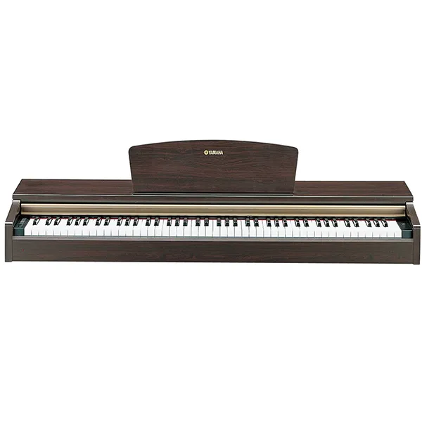 Music City – Tổng Kho Piano, Guitar, Organ | Dịch Vụ Giáo Dục Âm Nhạc