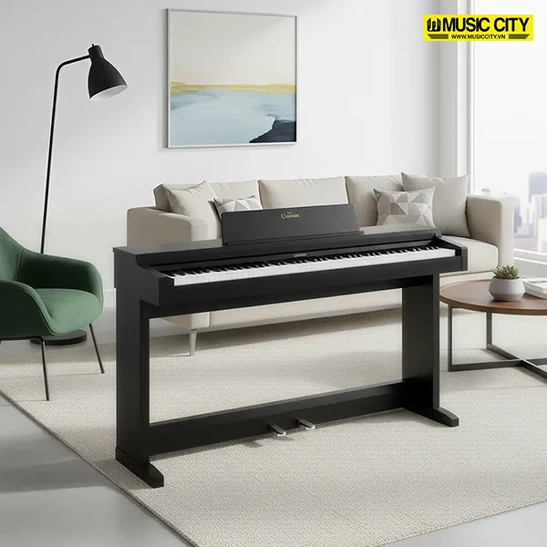 Music City – Tổng Kho Piano, Guitar, Organ | Dịch Vụ Giáo Dục Âm Nhạc