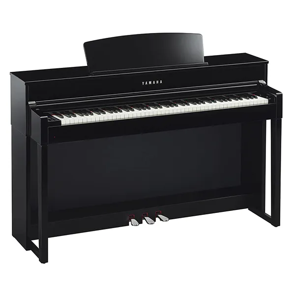 Music City – Tổng Kho Piano, Guitar, Organ | Dịch Vụ Giáo Dục Âm Nhạc