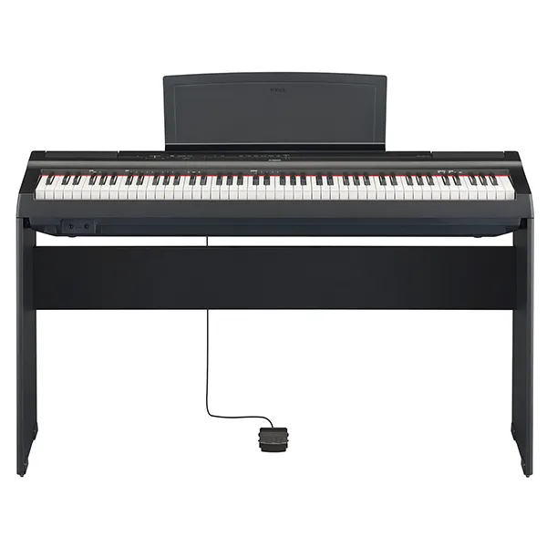 Music City – Tổng Kho Piano, Guitar, Organ | Dịch Vụ Giáo Dục Âm Nhạc