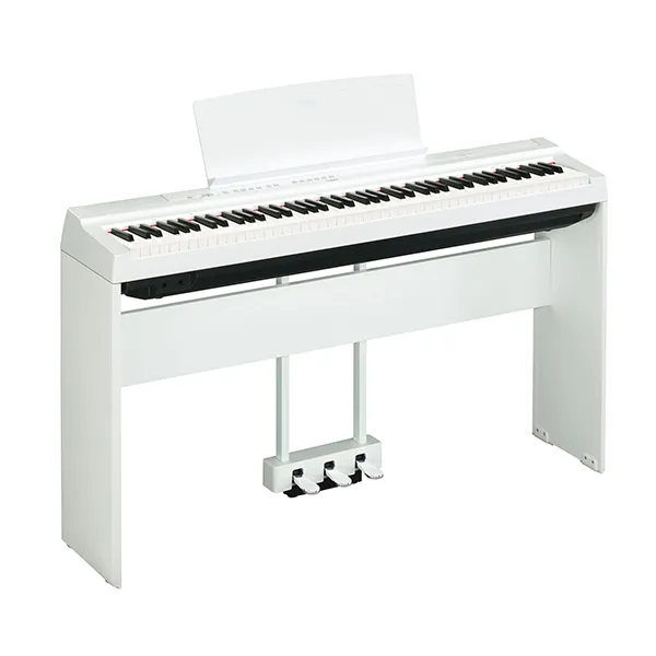 Music City – Tổng Kho Piano, Guitar, Organ | Dịch Vụ Giáo Dục Âm Nhạc