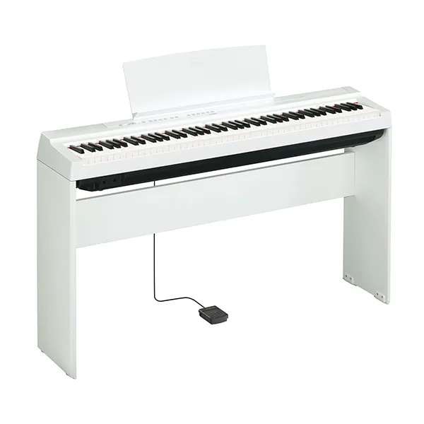 Music City – Tổng Kho Piano, Guitar, Organ | Dịch Vụ Giáo Dục Âm Nhạc