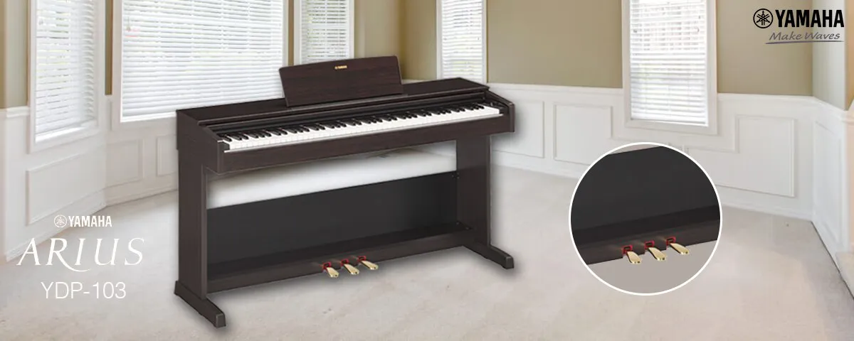 Music City – Tổng Kho Piano, Guitar, Organ | Dịch Vụ Giáo Dục Âm Nhạc