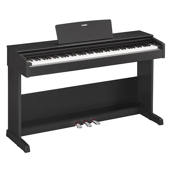 Music City – Tổng Kho Piano, Guitar, Organ | Dịch Vụ Giáo Dục Âm Nhạc