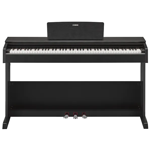 Music City – Tổng Kho Piano, Guitar, Organ | Dịch Vụ Giáo Dục Âm Nhạc