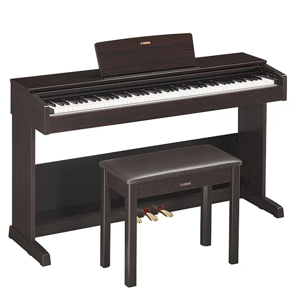 Music City – Tổng Kho Piano, Guitar, Organ | Dịch Vụ Giáo Dục Âm Nhạc