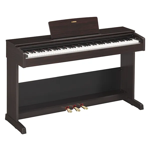 Music City – Tổng Kho Piano, Guitar, Organ | Dịch Vụ Giáo Dục Âm Nhạc