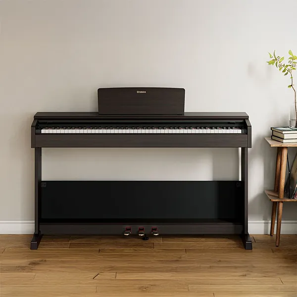 Music City – Tổng Kho Piano, Guitar, Organ | Dịch Vụ Giáo Dục Âm Nhạc