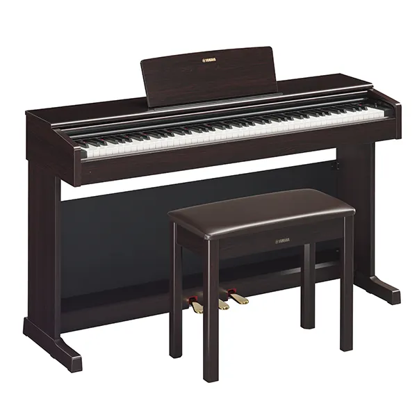 Music City – Tổng Kho Piano, Guitar, Organ | Dịch Vụ Giáo Dục Âm Nhạc