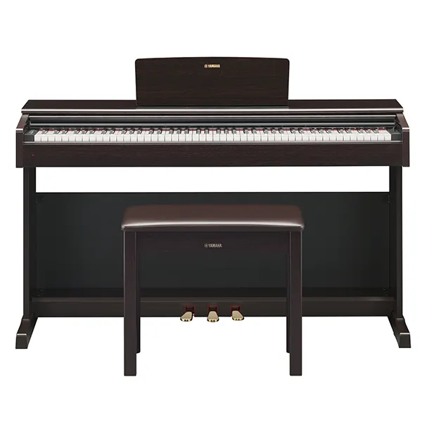 Music City – Tổng Kho Piano, Guitar, Organ | Dịch Vụ Giáo Dục Âm Nhạc