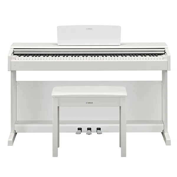 Music City – Tổng Kho Piano, Guitar, Organ | Dịch Vụ Giáo Dục Âm Nhạc