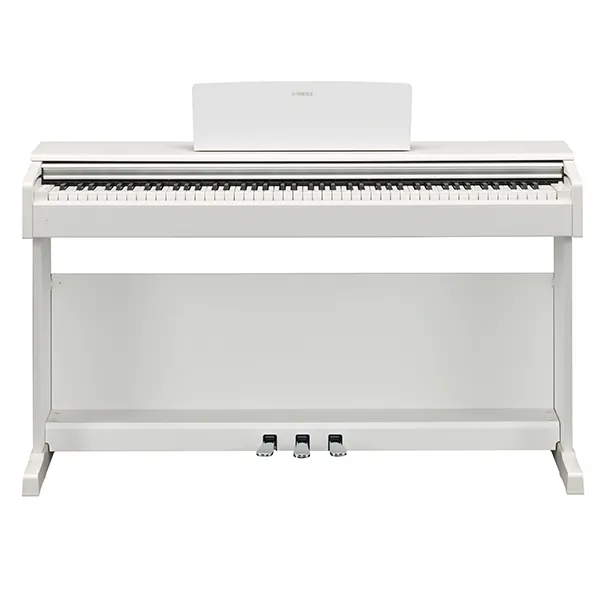 Music City – Tổng Kho Piano, Guitar, Organ | Dịch Vụ Giáo Dục Âm Nhạc