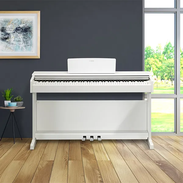 Music City – Tổng Kho Piano, Guitar, Organ | Dịch Vụ Giáo Dục Âm Nhạc