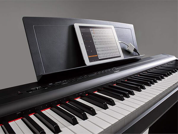 Music City – Tổng Kho Piano, Guitar, Organ | Dịch Vụ Giáo Dục Âm Nhạc