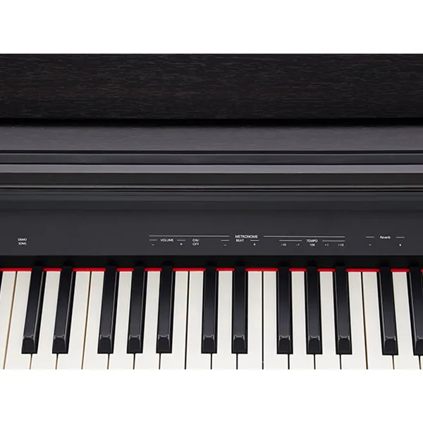 Music City – Tổng Kho Piano, Guitar, Organ | Dịch Vụ Giáo Dục Âm Nhạc