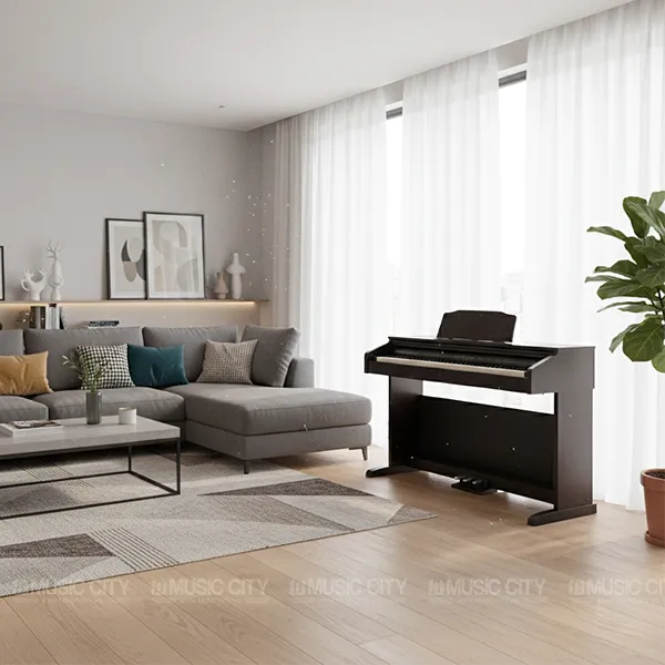 Music City – Tổng Kho Piano, Guitar, Organ | Dịch Vụ Giáo Dục Âm Nhạc