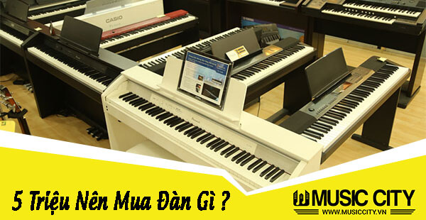 Music City – Tổng Kho Piano, Guitar, Organ | Dịch Vụ Giáo Dục Âm Nhạc