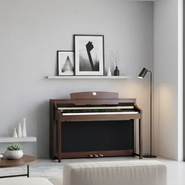Music City – Tổng Kho Piano, Guitar, Organ | Dịch Vụ Giáo Dục Âm Nhạc