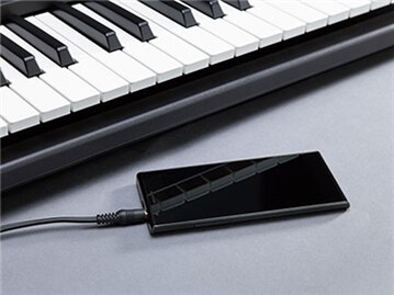 Music City – Tổng Kho Piano, Guitar, Organ | Dịch Vụ Giáo Dục Âm Nhạc