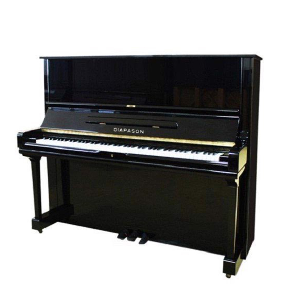 Music City – Tổng Kho Piano, Guitar, Organ | Dịch Vụ Giáo Dục Âm Nhạc