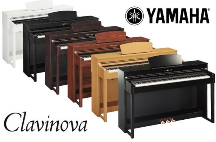 Music City – Tổng Kho Piano, Guitar, Organ | Dịch Vụ Giáo Dục Âm Nhạc