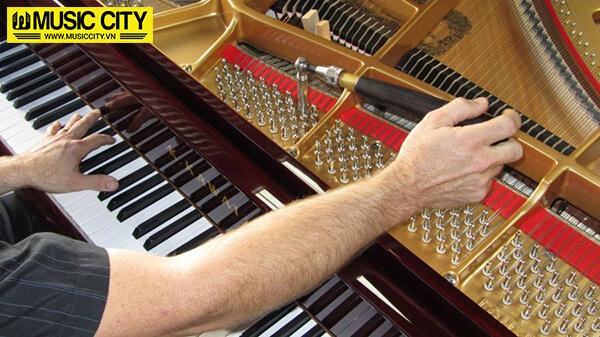 Hình ảnh lên dây đàn bảo dưỡng đàn Piano tại Music City