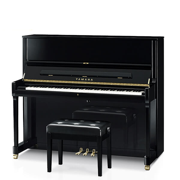 Music City – Tổng Kho Piano, Guitar, Organ | Dịch Vụ Giáo Dục Âm Nhạc