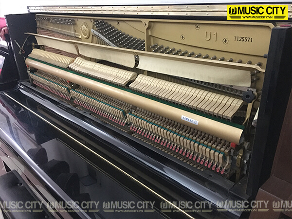 Music City – Tổng Kho Piano, Guitar, Organ | Dịch Vụ Giáo Dục Âm Nhạc