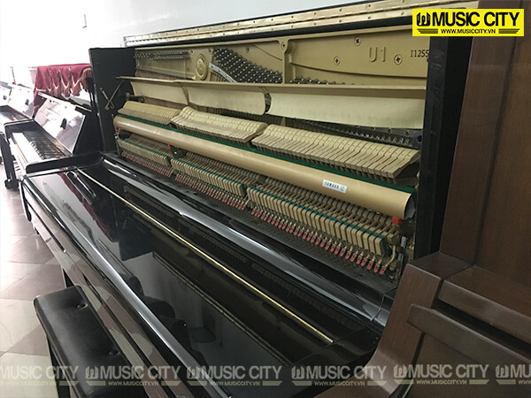Music City – Tổng Kho Piano, Guitar, Organ | Dịch Vụ Giáo Dục Âm Nhạc