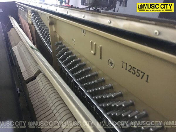 Music City – Tổng Kho Piano, Guitar, Organ | Dịch Vụ Giáo Dục Âm Nhạc