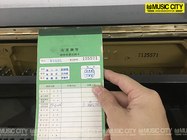 Music City – Tổng Kho Piano, Guitar, Organ | Dịch Vụ Giáo Dục Âm Nhạc