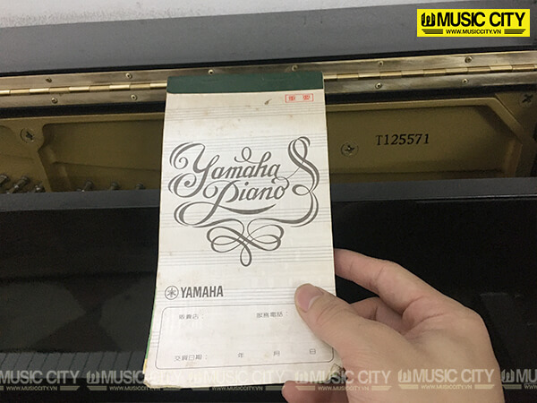 Music City – Tổng Kho Piano, Guitar, Organ | Dịch Vụ Giáo Dục Âm Nhạc